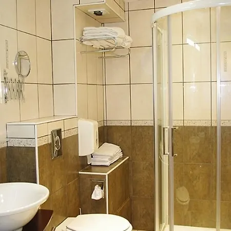 Hotel Logis Centrotel Et Bulles D'allier 3*
