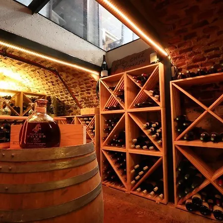 Hotel Logis Centrotel Et Bulles D'allier Montmarault