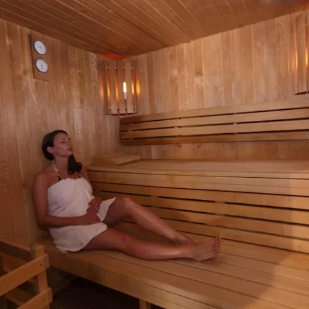 Logis Centrotel Et Bulles D'allier Hotel Montmarault