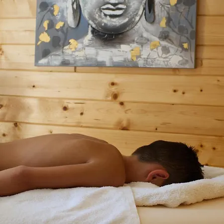 Hotel Logis Centrotel Et Bulles D'allier