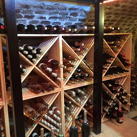 Logis Centrotel Et Bulles D'allier 3* Montmarault