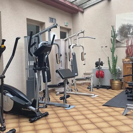 Hotel Logis Centrotel Et Bulles D'allier 3*