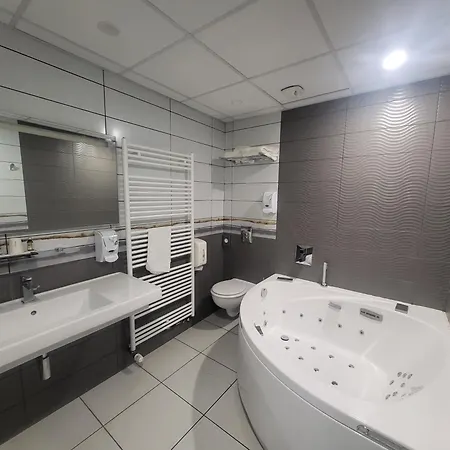 Отель Logis Centrotel Et Bulles D'allier 3*