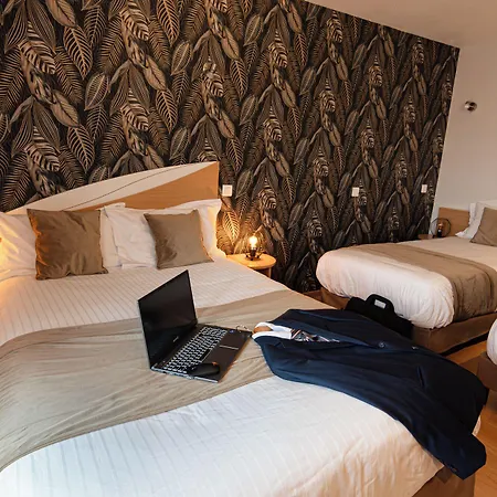 Hotel Logis Centrotel Et Bulles D'allier 3*