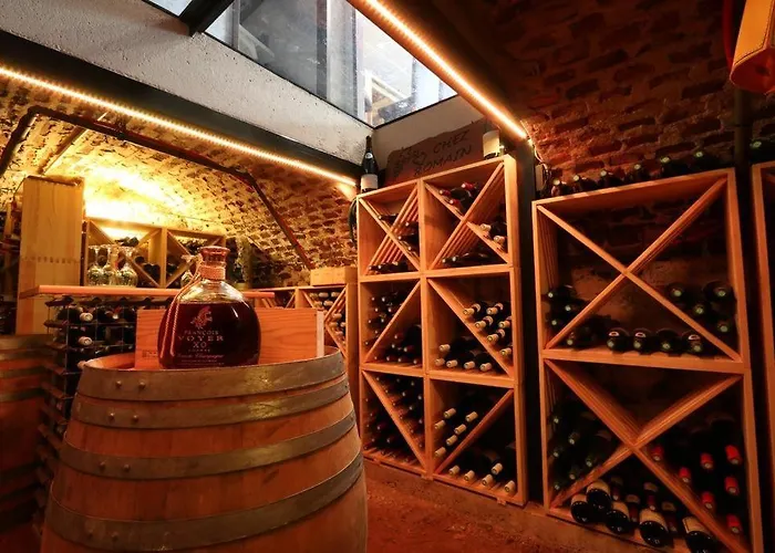 Hotell Logis Centrotel Et Bulles D'allier Montmarault