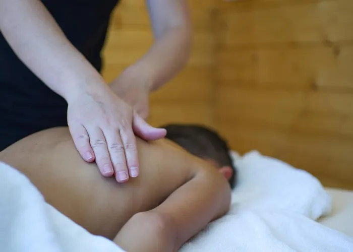 Logis Centrotel Et Bulles D'allier Монмаро