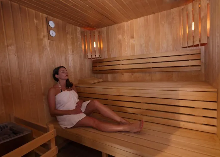 Logis Centrotel Et Bulles D'allier Hotell Montmarault