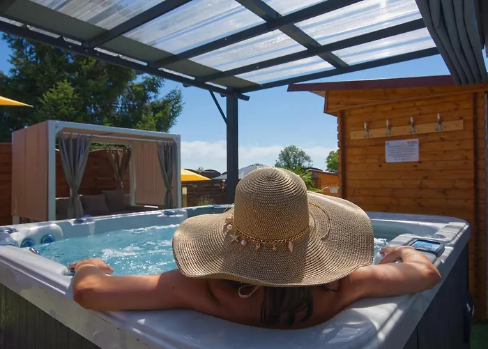 Отель Logis Centrotel Et Bulles D'allier 3*