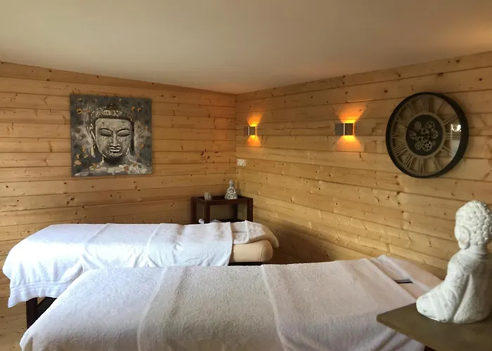 Logis Centrotel Et Bulles D'allier Монмаро