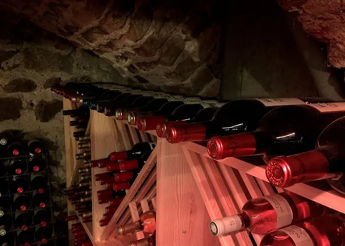 Отель Logis Centrotel Et Bulles D'allier 3*