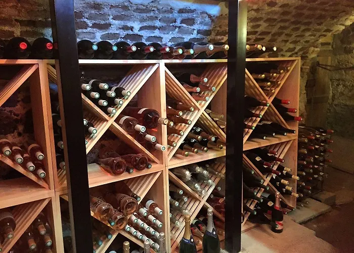 Logis Centrotel Et Bulles D'allier 3* Montmarault