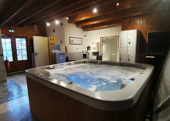 Hotell Logis Centrotel Et Bulles D'allier 3*