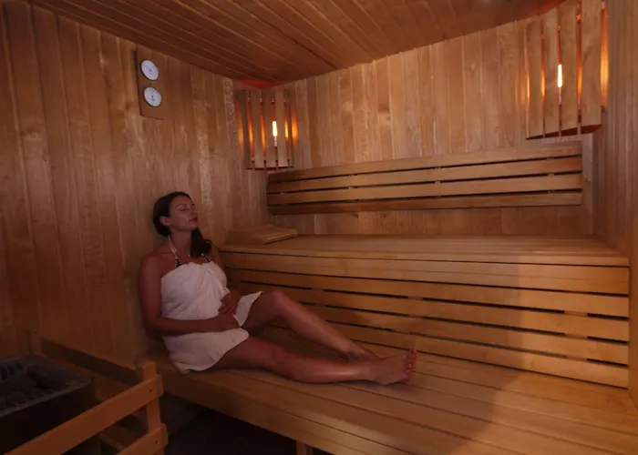 Отель Logis Centrotel Et Bulles D'allier Монмаро