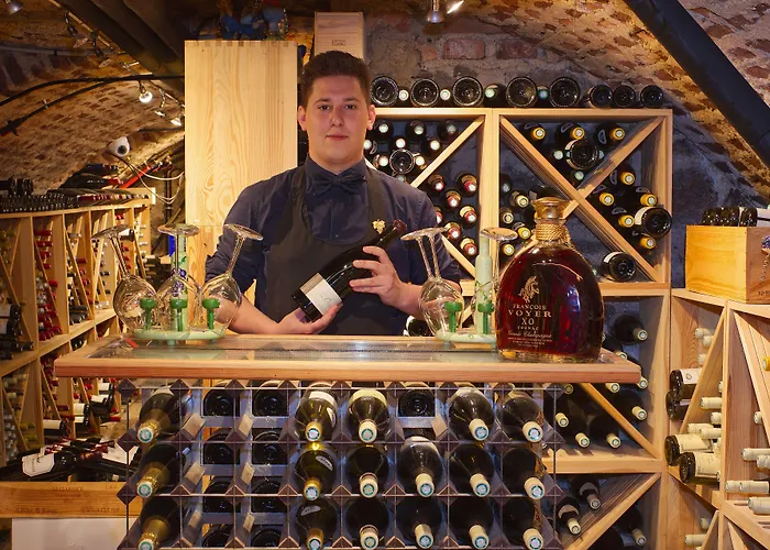 Logis Centrotel Et Bulles D'allier