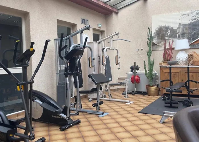 Отель Logis Centrotel Et Bulles D'allier 3*