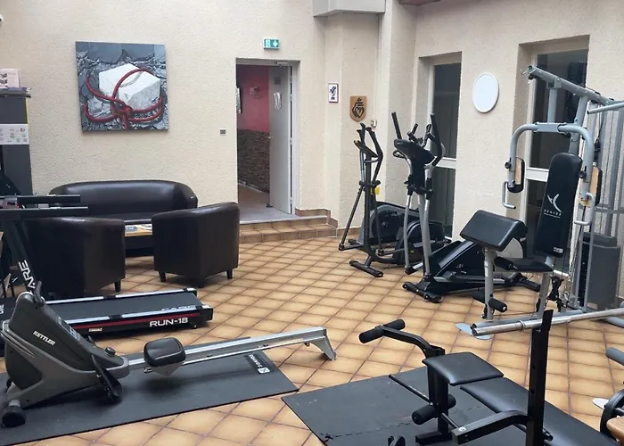 Logis Centrotel Et Bulles D'allier Отель Монмаро