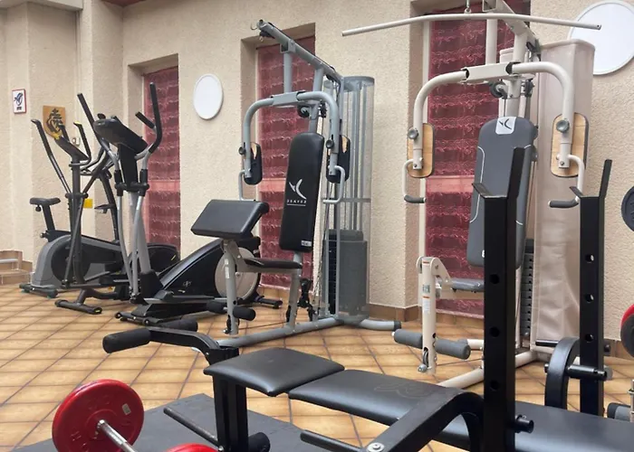 Logis Centrotel Et Bulles D'allier Отель Монмаро