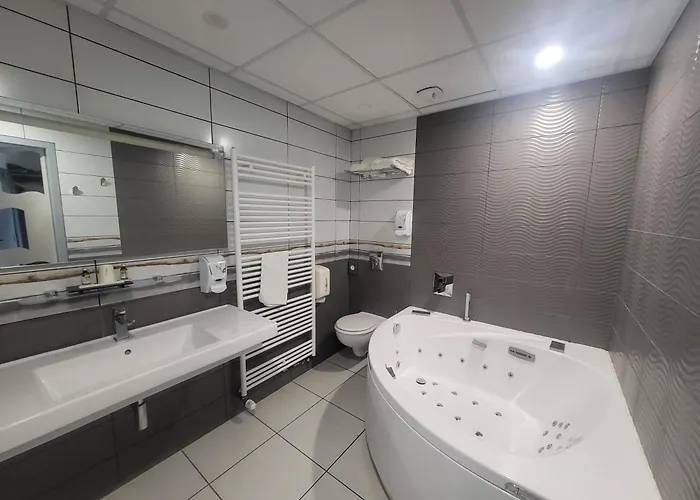 Отель Logis Centrotel Et Bulles D'allier 3*