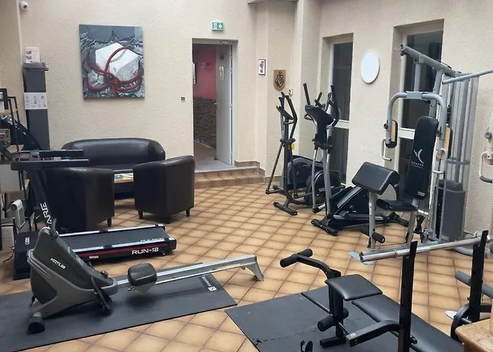 Logis Centrotel Et Bulles D'allier Отель Монмаро