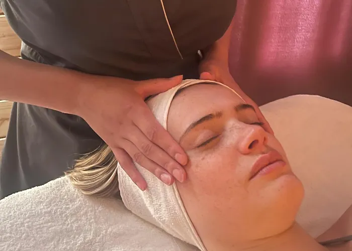 Logis Centrotel Et Bulles D'allier 3* Монмаро