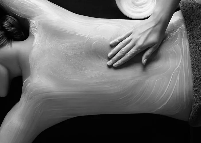 Logis Centrotel Et Bulles D'allier 3* Монмаро